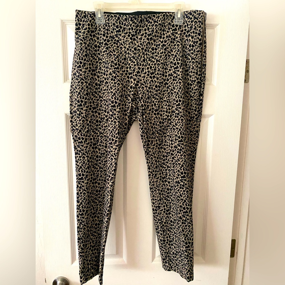 Casual Pants - a new day